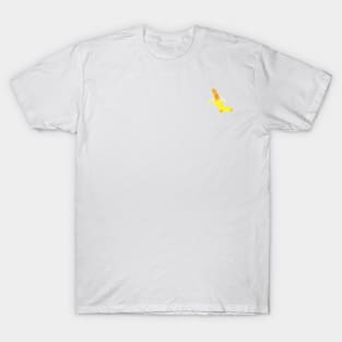 banana socks T-Shirt